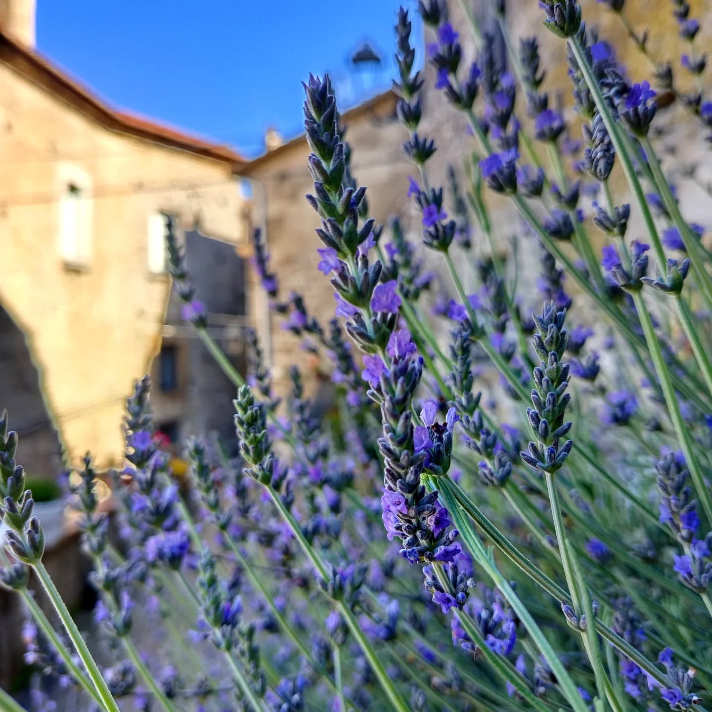 B&B Tancredi - Camera